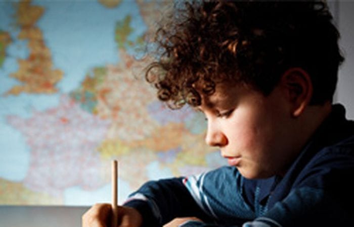 How European are European School Alumni?