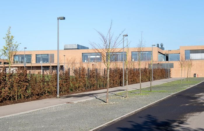 European School plans to improve contracts to attract teachers