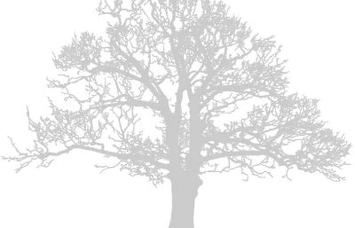 AVIS DE DÉCÈS  Madame Nancy CHALMERS