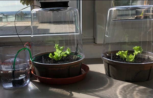 Using AI to build a smart greenhouse capable of reducing its own impact on the environment